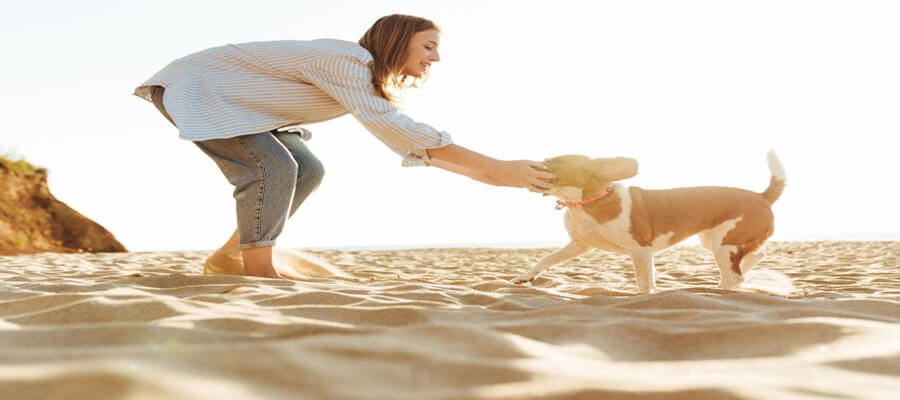 How to Deal with a Picky Eater Dog: Tips for Overcoming Fussy Eating Habits